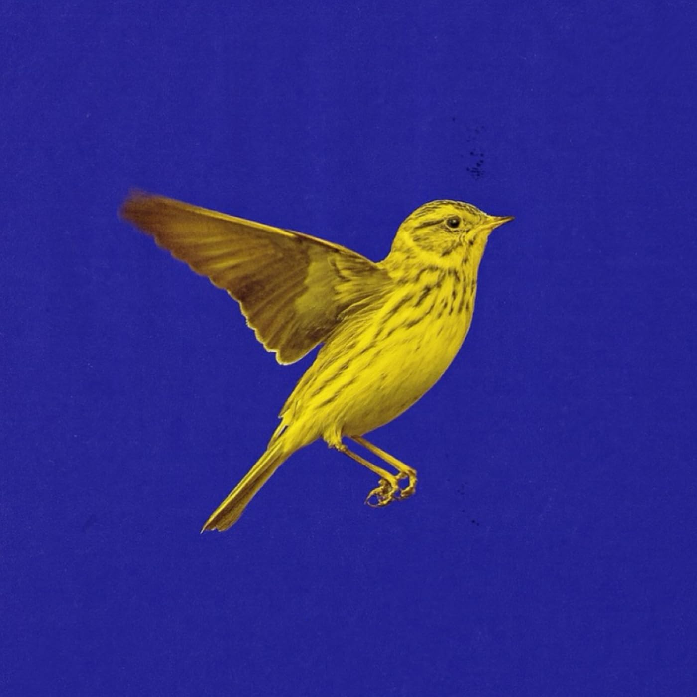 Image Cover